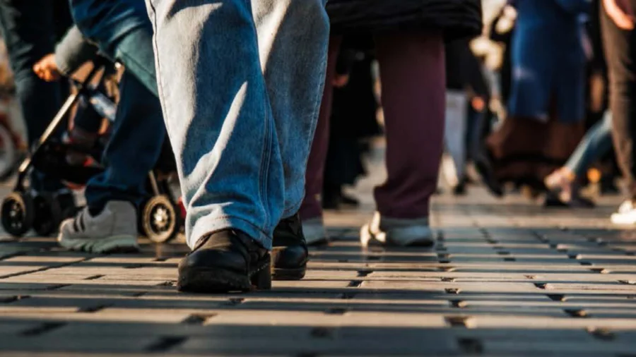 Atelier : "Organiser une marche exploratoire"